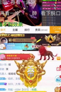 丹神至尊,游戏角色提升之路-高效攻略解析