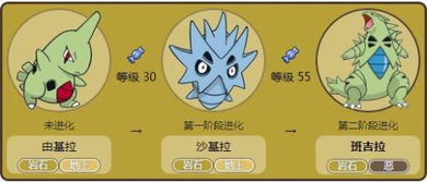 神宠进化,宠物爱好者终极追求-进化技巧全解析