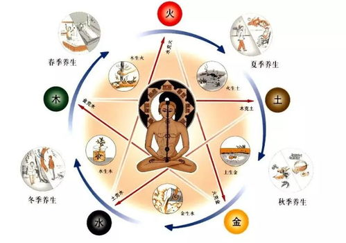一、五行元灵的起源与内涵