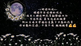 凝神静气读一首诗，寻找心灵的慰藉-文学之美解析