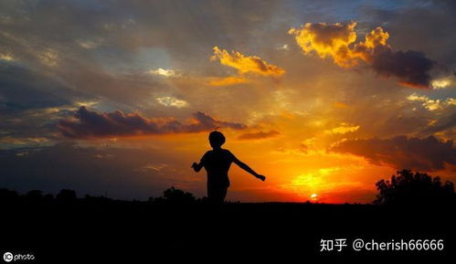 女人渐渐老去的生活智慧，优雅从容-活出自我风采