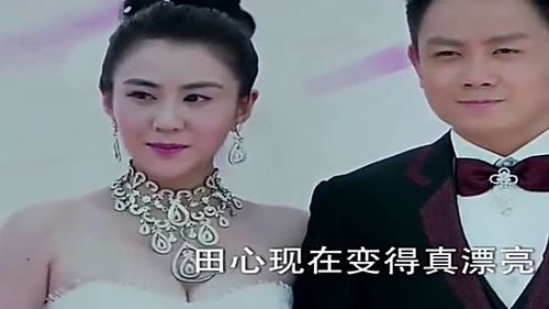 乖巧前妻高不可攀,陆总追到腿软-情感纠葛深度解析