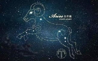 12星座男友，探索你的星座恋人-性格特点与相处之道