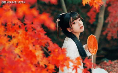 重回七零，傻女赚钱还有点甜-逆境中的智慧与甜蜜