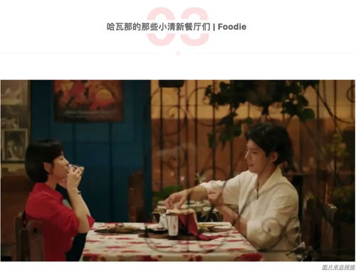 入夜缠吻，路少的小娇娇别逃了-都市爱情追逐解析