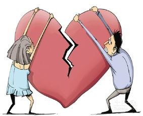 离婚后，假千金靠洗白成了真团宠-生活重塑指南