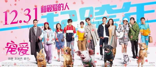 一、军少的宠爱:温情与责任的双重体现
