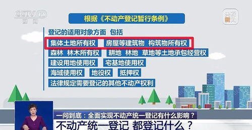 土生子文化内涵与现代社会角色-深入解析