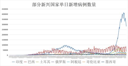 2021年危机解析-挑战与对策