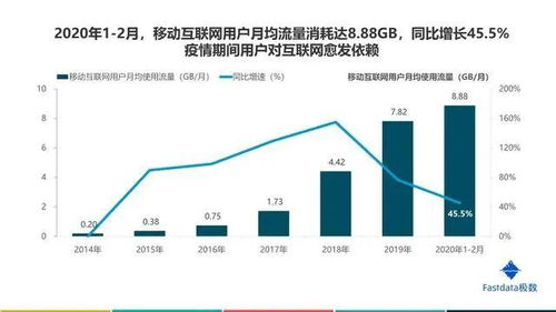 2020年互联网发展影响与网络使用优化策略