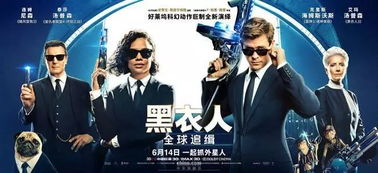 09届探员：揭秘精英侦探的非凡旅程
