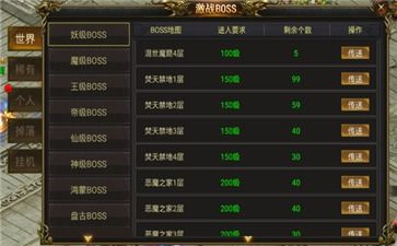 新开传奇新服网手机版全面解析