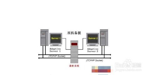 不充钱的传奇游戏攻略,玩转免费乐趣-技巧与策略分享