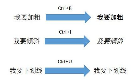 一、职业选择与定位策略