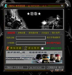 一、私服与私服登录器的基本概念