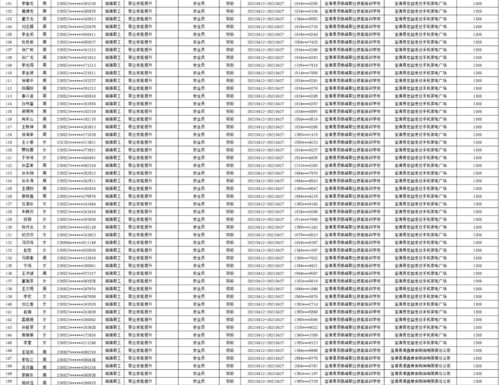 一、单职业设定：深度挖掘职业潜力