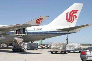 长沙航空货运有限公司的核心业务优势