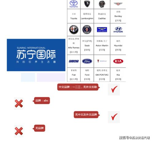 一、选择专业航空货运服务商的关键要素