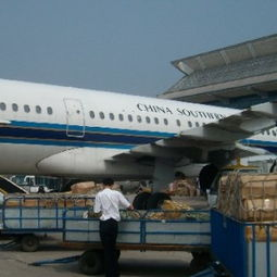 长沙空运市场的超重货物运输特点
