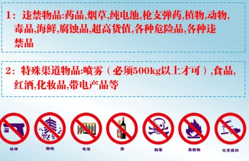 长沙宠物空运的法规要求与文件准备