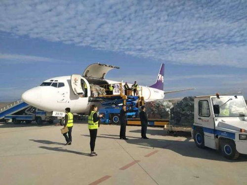 长沙航空寄快运的时效与服务优势