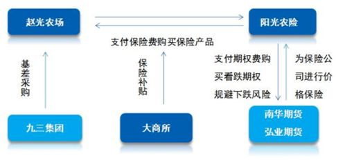 航空加急服务的时效保障体系