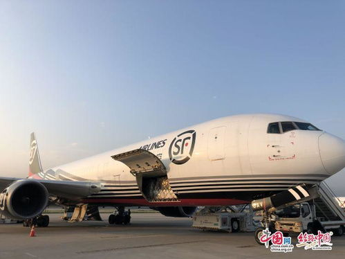 航空急件运输的时效保障核心