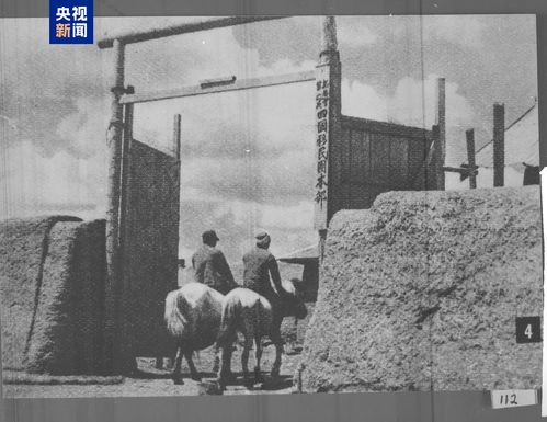《马庄村[预告片]》：这部农村题材电影为何未映先火？