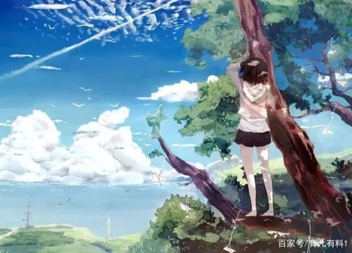《12夜》：爱情轮回中的残酷真相，你逃得掉吗？
