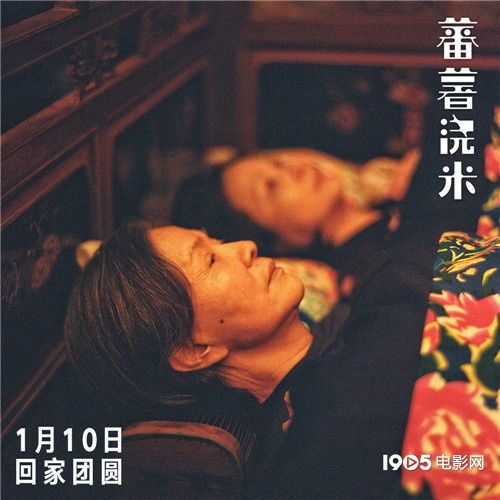 《52赫兹的鲸鱼》：孤独者的共鸣还是生命的奇迹？