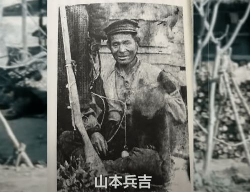 《911事件簿》：一部震撼人心的历史纪实