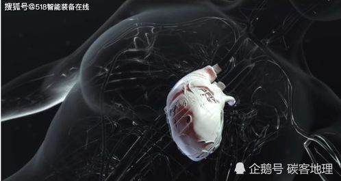 《齿轮第一季》：一部颠覆你对科幻剧认知的硬核神作？