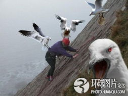《鱼2012》：一部被遗忘的科幻惊悚杰作？