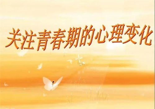 《J Sports》：热血与梦想交织的青春物语