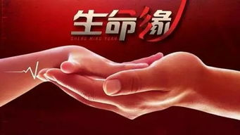 《生命缘第15季》：医者仁心，生命奇迹的见证者