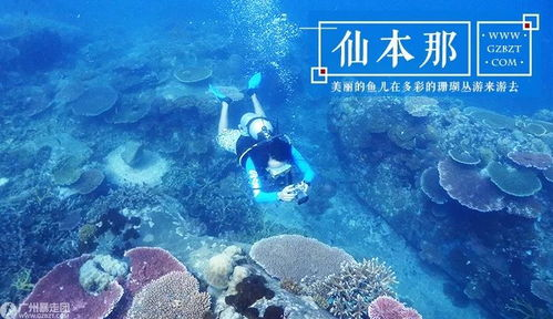 《海帆朵朵》：一部治愈心灵的海洋童话
