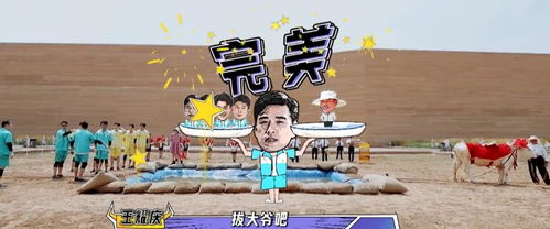 《中餐厅第六季》：美食与治愈的完美碰撞，这次还能再创收视神话吗？