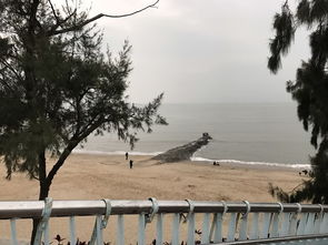 《怦然新动的冬天》：这部治愈系青春片为何让人念念不忘？