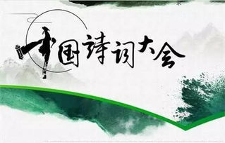 《诗词王中王》：一场诗词与智慧的巅峰