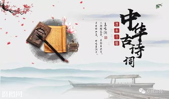 《中华好诗词第四季》：诗词之美如何点燃文化自信？