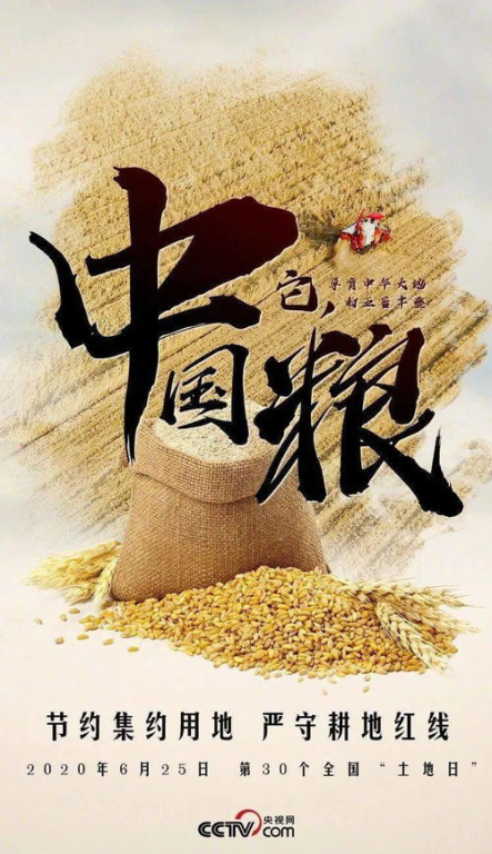 《3月的狮子 后篇》：孤独与温暖的终极