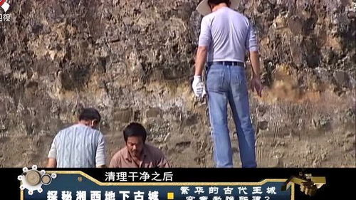 《黑金古殿》：神秘古墓中的惊天秘密，你敢探索吗？