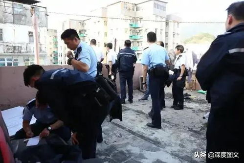《黑钱飞机》：一场高空中的金钱与道德博弈？