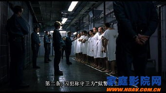 黑暗的旅程：一部震撼心灵的悬疑杰作