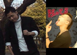 黑帮大佬和平梦：暴力与救赎的终极对决