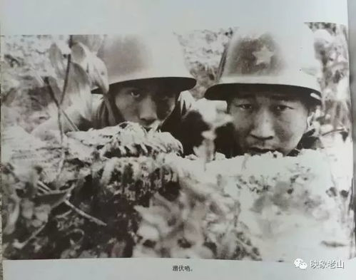 《黄花塘往事》：战火中的青春与信仰
