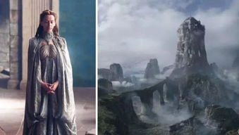 《鹫与鹰》：谁是天空真正的王者？
