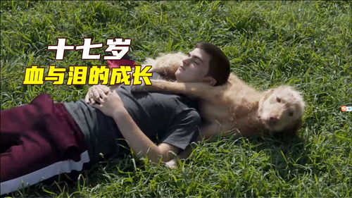《不乖》：叛逆青春背后的温暖救赎，你