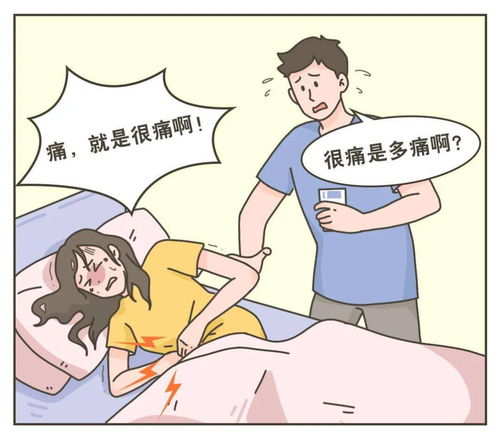 《世界因你温柔》：这部治愈系电影如何用温暖融化人心？