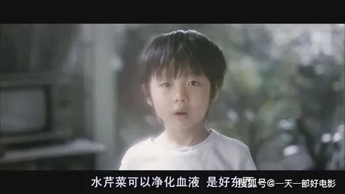 《乘船而去》：一场关于亲情与救赎的奇幻漂流